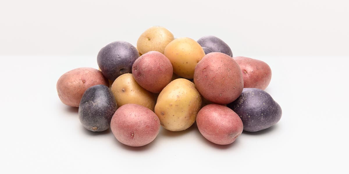 Potato Variety